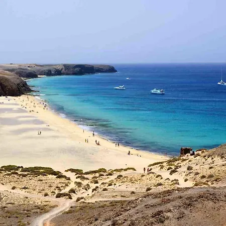 فيلة Tamia *